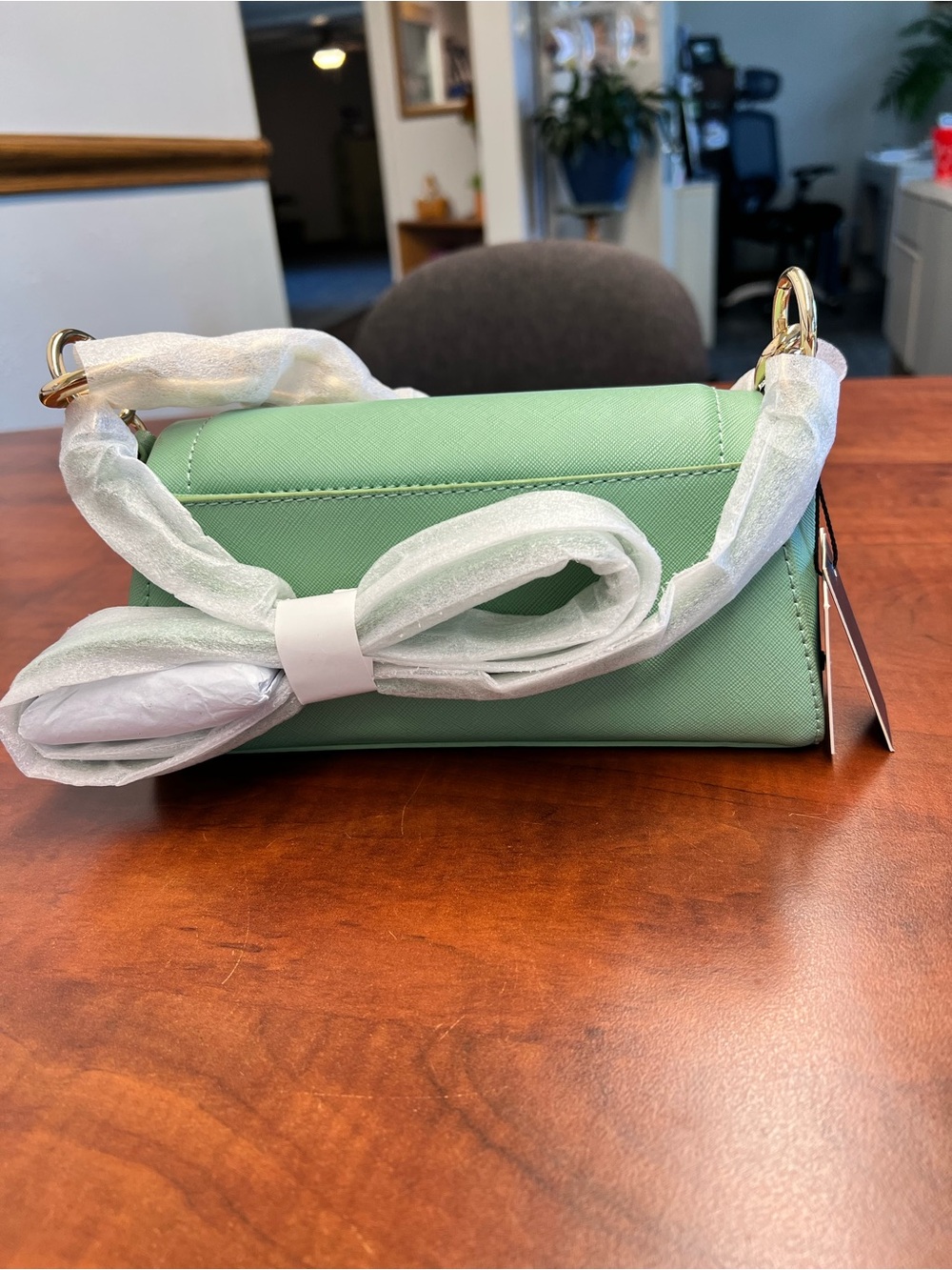 Mint Green vegan leather crossbody bag with Gold Hardware and chain. NWT - Picture 3 of 10